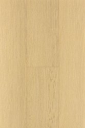 firstf-0001_2721_1